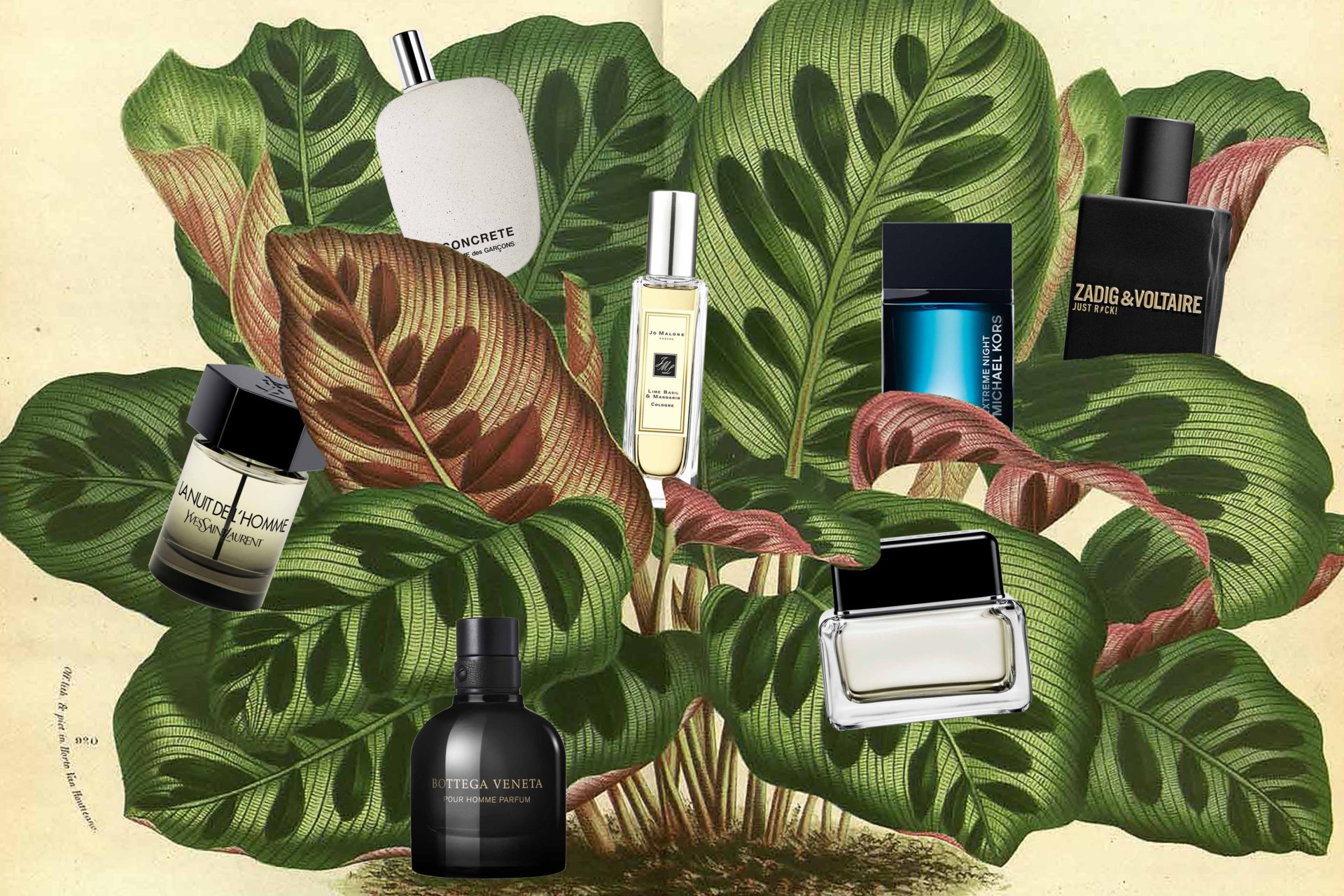 Die besten Parfums für Männer laut Jean-Claude Mpassy von New Kiss on the Blog